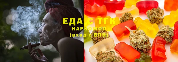 индика Горно-Алтайск