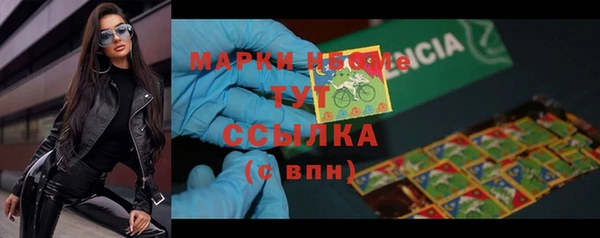 apvp Горняк