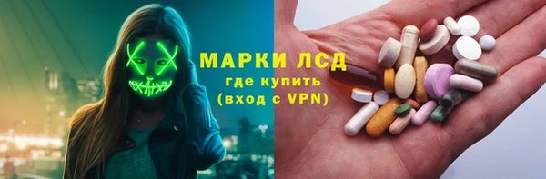 индика Горно-Алтайск