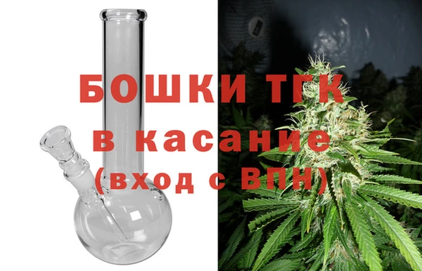 гашик Гусев