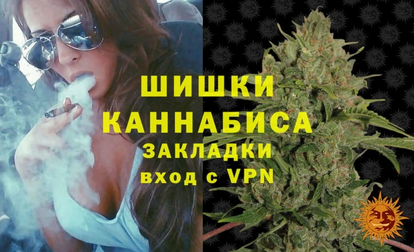 гашик Гусев