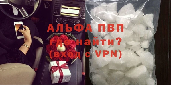 гашик Гусев